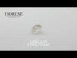 Fiorese Jewelry 1.02ct Old Mine Cut Lab Diamond IJ VS NO.9