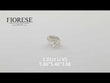 Fiorese Jewelry 1.01ct Old Mine Cut Lab Diamond IJ VS NO.2