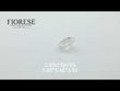 Fiorese Jewelry 1.03ct Old Mine Cut Lab Diamond GH VS NO.5